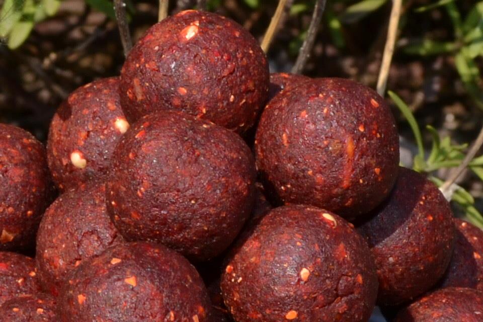 Cips Baits 2015 - csc1696.JPG